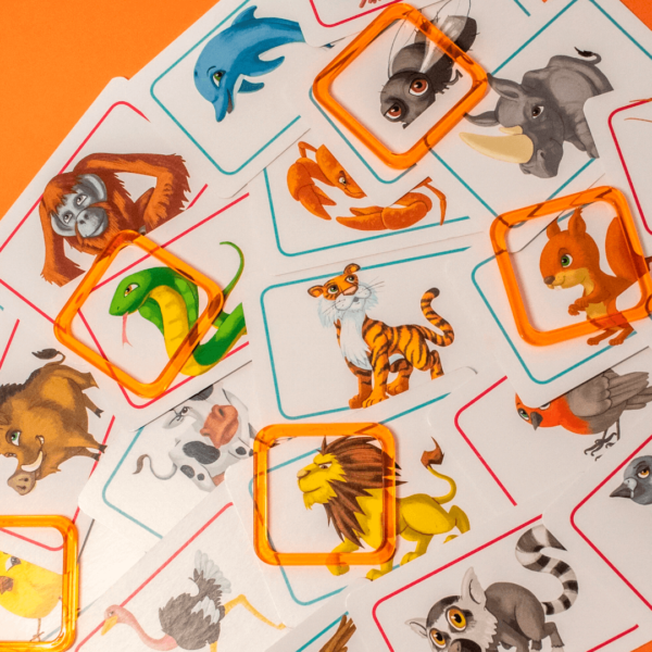 concept kids cartas de animais