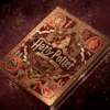 Baralho Harry Potter Conjunto 4 Casas Theory11 - Image 3